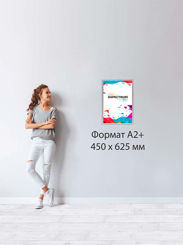 FrameLight А2 (456 x 630 мм)