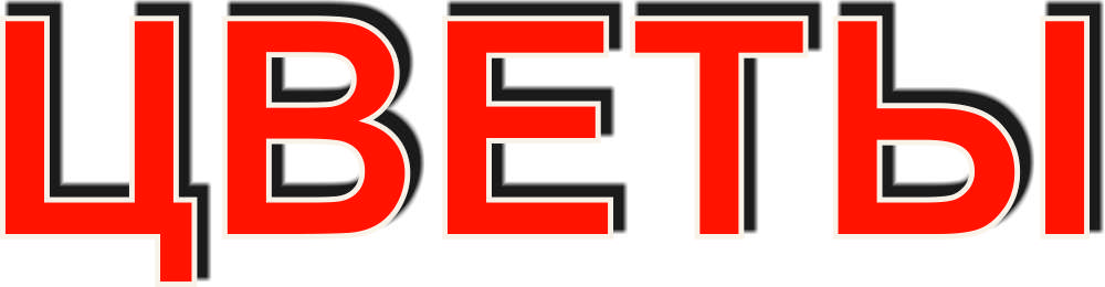 Вывеска ЦВЕТЫ