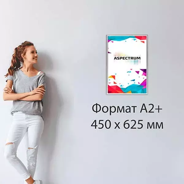 FrameLight А2 (456 x 630 мм)