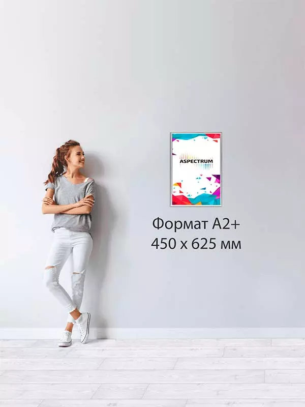 FrameLight А2 (456 x 630 мм)